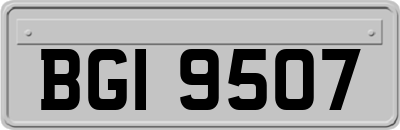 BGI9507