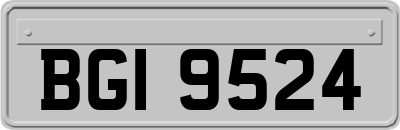 BGI9524