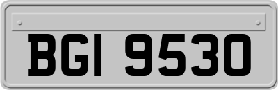 BGI9530