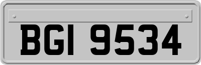 BGI9534
