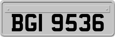 BGI9536