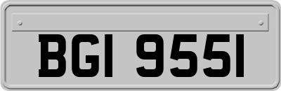 BGI9551