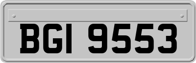BGI9553