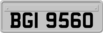 BGI9560
