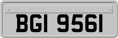 BGI9561