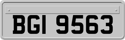 BGI9563