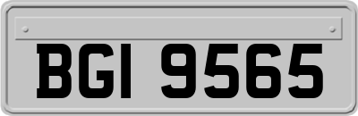 BGI9565