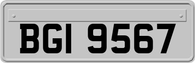 BGI9567