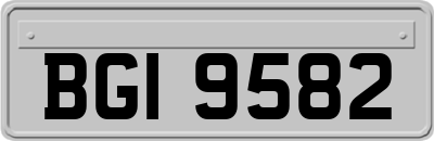 BGI9582