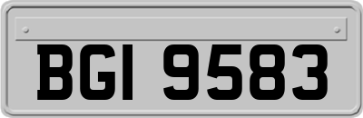 BGI9583