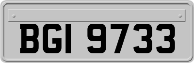 BGI9733
