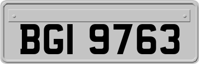 BGI9763