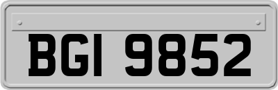 BGI9852