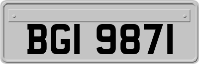BGI9871
