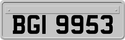 BGI9953