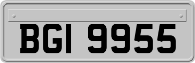 BGI9955