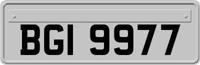 BGI9977