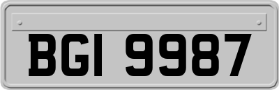 BGI9987