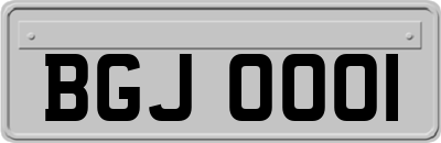 BGJ0001