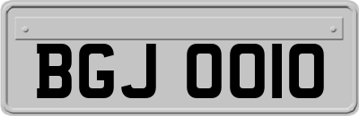 BGJ0010