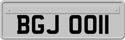 BGJ0011