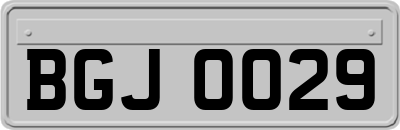 BGJ0029