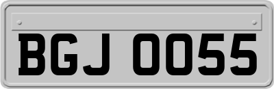 BGJ0055