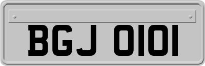 BGJ0101