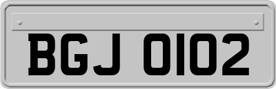 BGJ0102