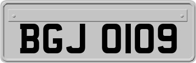 BGJ0109