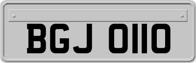 BGJ0110