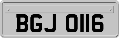 BGJ0116
