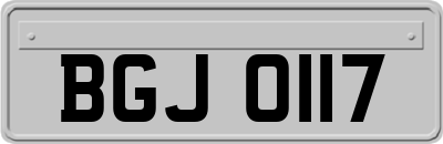 BGJ0117