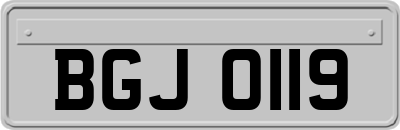 BGJ0119