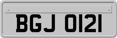 BGJ0121