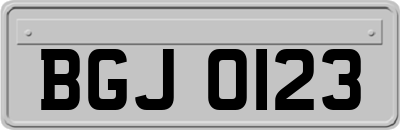 BGJ0123