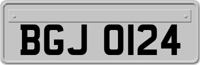 BGJ0124