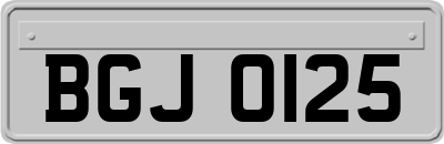 BGJ0125