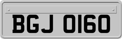 BGJ0160