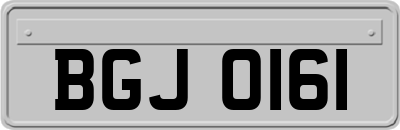 BGJ0161
