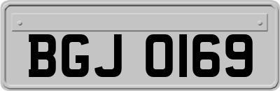 BGJ0169