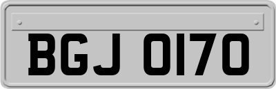 BGJ0170