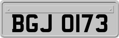 BGJ0173
