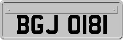 BGJ0181