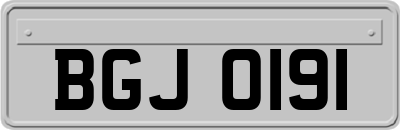 BGJ0191