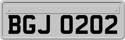 BGJ0202