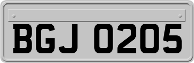 BGJ0205
