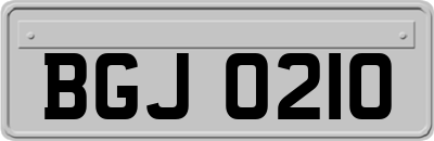 BGJ0210