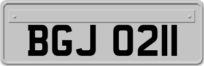 BGJ0211
