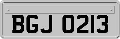 BGJ0213